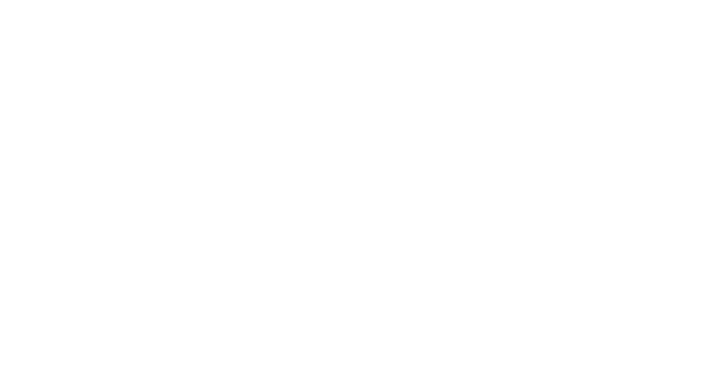 Vetgig